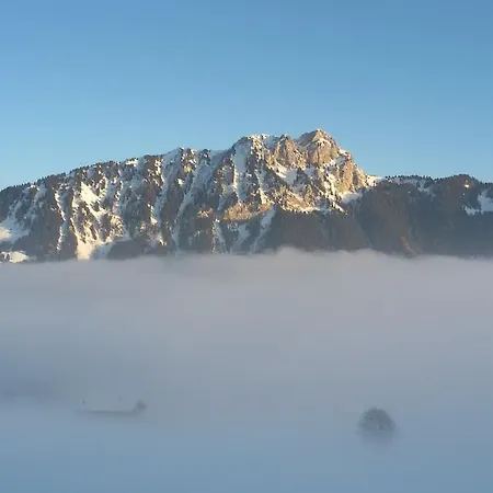 Bed & Breakfast Chalet Ermina Leysin