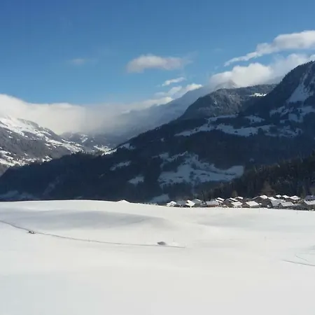 Bed & Breakfast Chalet Ermina Leysin