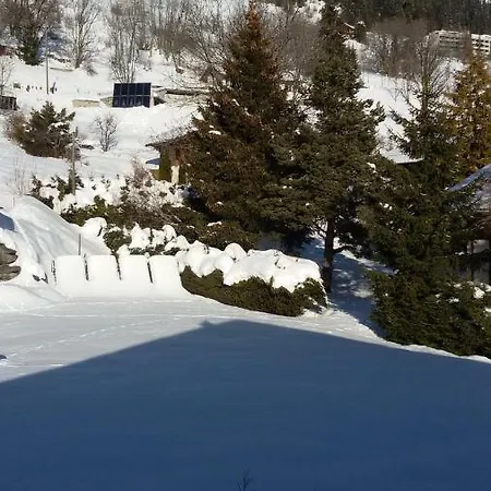 לינה וארוחת בוקר Chalet Ermina לייסין