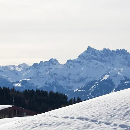 Frühstückspension Chalet Ermina 3*