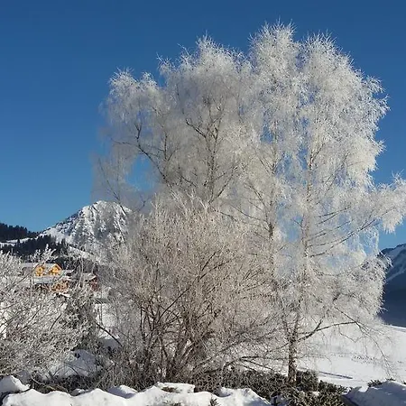 Chalet Ermina Frühstückspension 3*